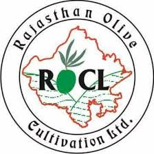 Rajasthan Olive logo